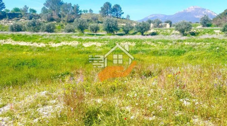 Murcia - Lorca - 60000m2
