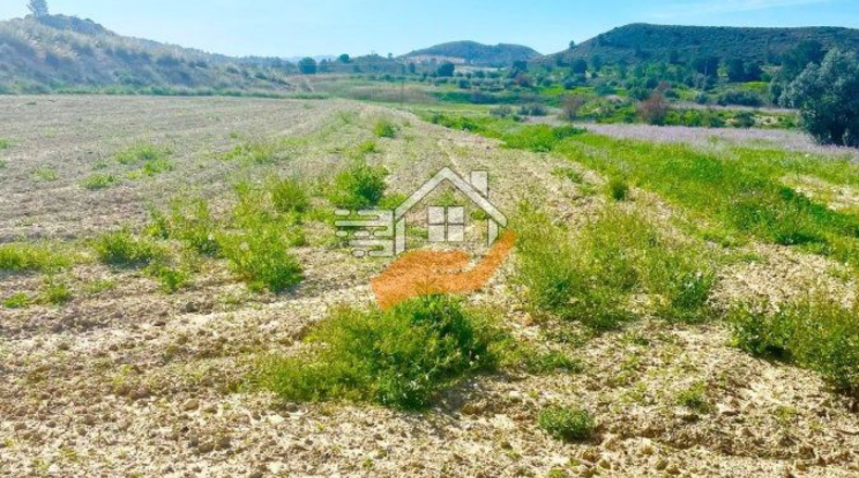Murcia - Lorca - 60000m2