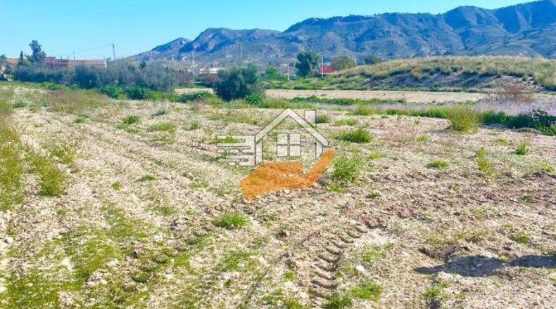 Murcia - Lorca - 60000m2