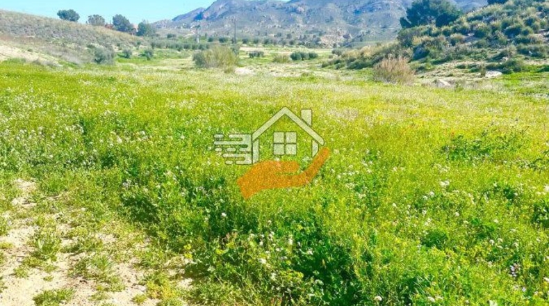 Murcia - Lorca - 60000m2