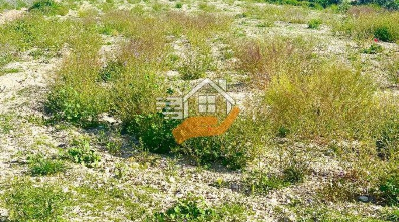 Murcia - Lorca - 60000m2