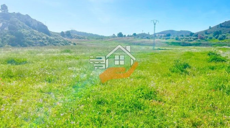 Murcia - Lorca - 60000m2