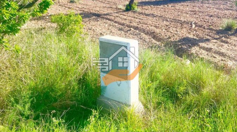 Murcia - Lorca - 60000m2