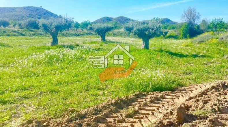 Murcia - Lorca - 60000m2
