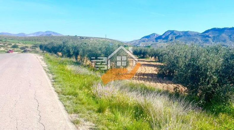 Murcia - Lorca - 60000m2