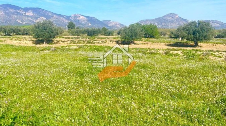Murcia - Lorca - 60000m2