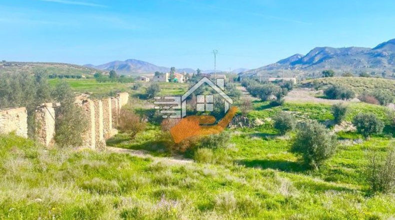 Murcia - Lorca - 60000m2