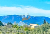 Finca rústica en venda a Vélez-Blanco ref.: TR263355 foto