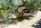 Finca rústica en venda a Vélez-Blanco ref.: TR263355 foto