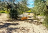 Finca rústica en venda a Vélez-Blanco ref.: TR263355 foto