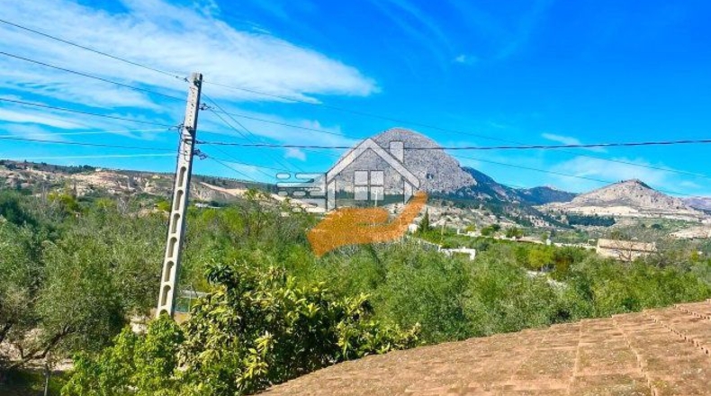 Almería - Vélez-Blanco - 10000m2