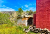 Finca rústica en venda a Vélez-Rubio ref.: TR262572 foto