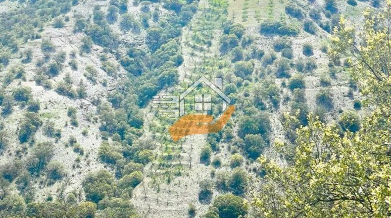 Almería - Велес-Рубио - 1070000m2