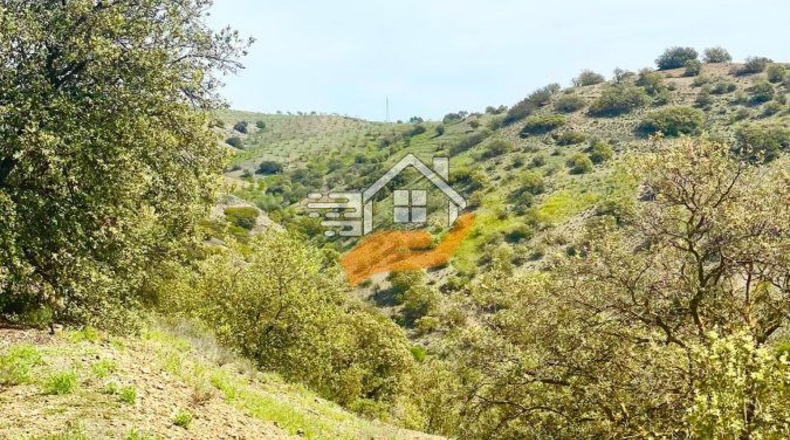 Almería - Велес-Рубио - 1070000m2