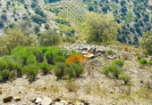 Finca rústica en venda a Vélez-Rubio ref.: TR262572 foto