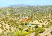 Finca rústica en venda a Vélez-Rubio ref.: TR262572 foto