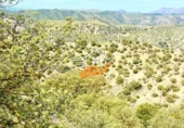 Finca rústica en venda a Vélez-Rubio ref.: TR262572 foto