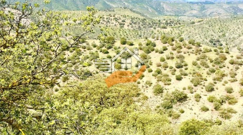 Almería - Велес-Рубио - 1070000m2