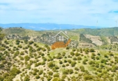 Finca rústica en venda a Vélez-Rubio ref.: TR262572 foto