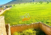 Village house for sale in Cúllar ref: TR232962 photo