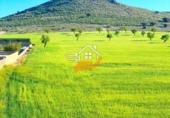 Village house for sale in Cúllar ref: TR232962 photo