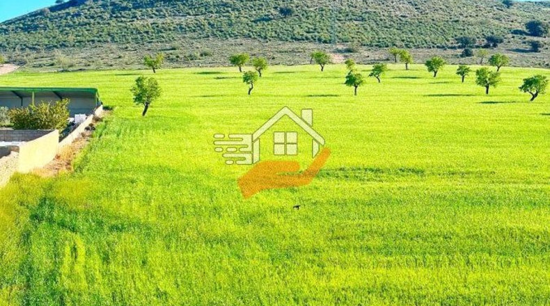 Granada - Кульяр - 1160m2