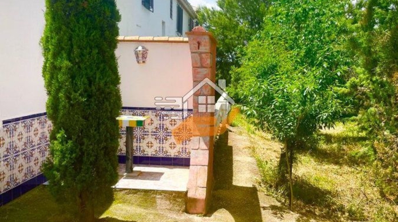 Almería - Vélez-Rubio - 15600m2