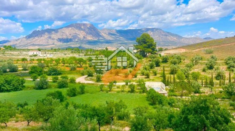 Almería - Vélez-Rubio - 15600m2