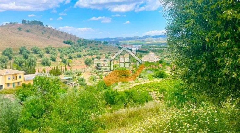 Almería - Vélez-Rubio - 15600m2
