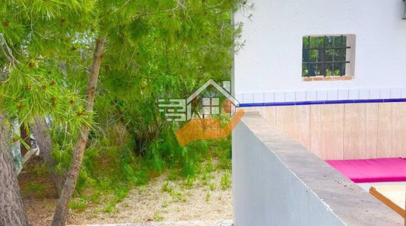 Almería - Vélez-Rubio - 15600m2