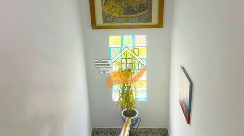 Almería - Vélez-Rubio - 15600m2