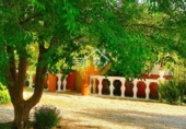 Finca rústica en venda a Vélez-Rubio ref.: TR234644 foto