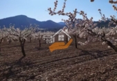 Non-developable land for sale in Yecla ref: TR235203 photo