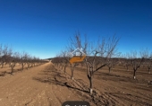 Non-developable land for sale in Yecla ref: TR235203 photo