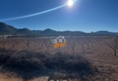 Non-developable land for sale in Yecla ref: TR235203 photo