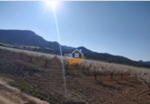 Non-developable land for sale in Yecla ref: TR235203 photo