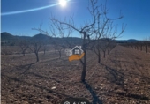 Non-developable land for sale in Yecla ref: TR235203 photo