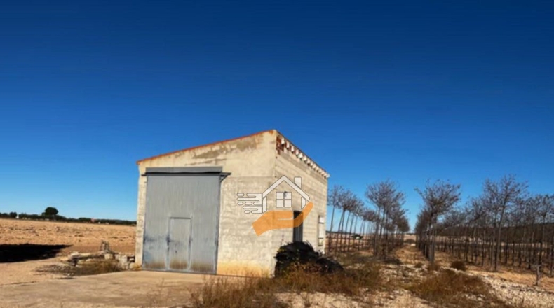 Murcia - Yecla - 158324m2
