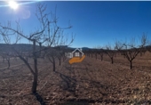 Non-developable land for sale in Yecla ref: TR235203 photo