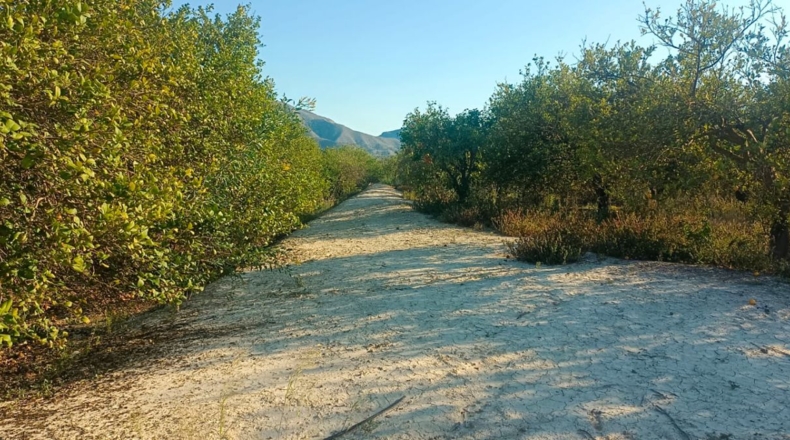 Alicante - Benferri - 61643m2
