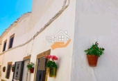 Xalet adossat amb terreny en venda a Vélez-Blanco ref.: TR261446 foto