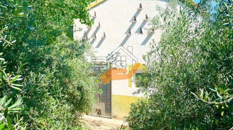 Almería - Велес-Рубио - 40000m2