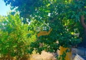 Finca rústica en venda a Vélez-Rubio ref.: TR263289 foto