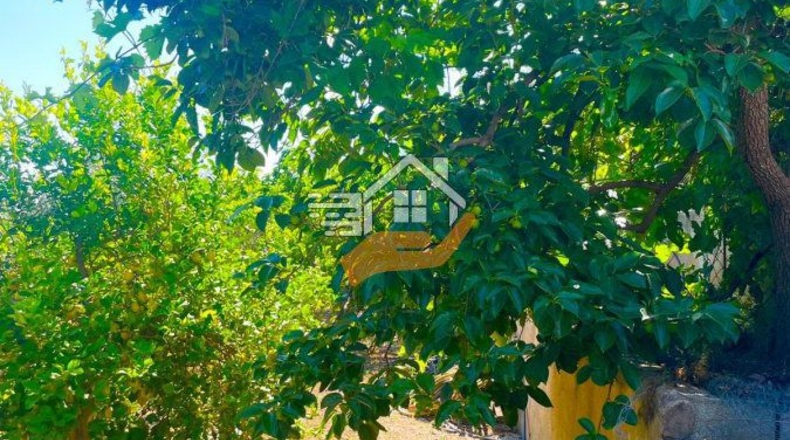 Almería - Велес-Рубио - 40000m2