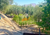 Finca rústica en venda a Vélez-Rubio ref.: TR263289 foto