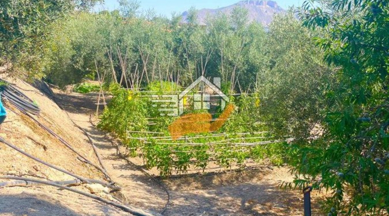 Almería - Велес-Рубио - 40000m2