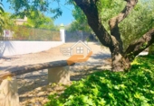 Finca rústica en venda a Vélez-Rubio ref.: TR263289 foto