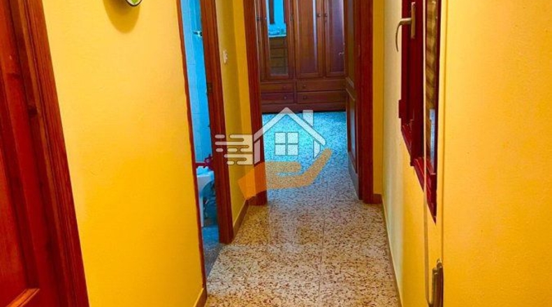 Almería - Велес-Рубио - 40000m2