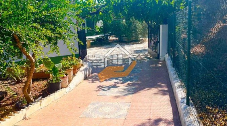 Almería - Велес-Рубио - 40000m2