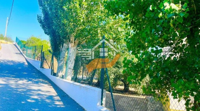Almería - Велес-Рубио - 40000m2